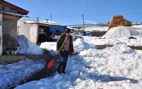 Kurtları Kürekle Kovaladı