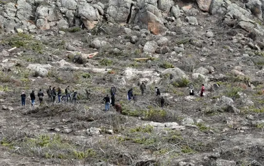 Eskişehir'de Yangın Alanında Ağaçlandırma Çalışmaları Başlatıldı