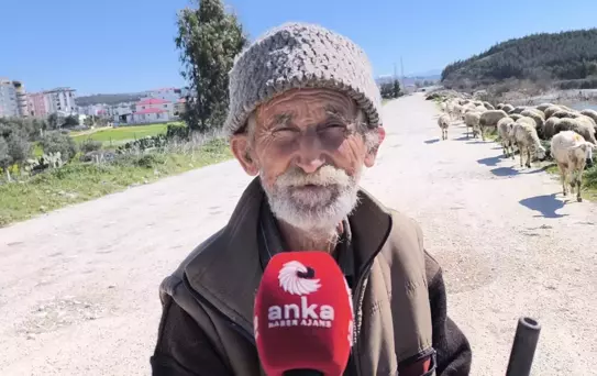 Ameliyatlı haliyle besicilik yapan Ömer amcanın sözleri yüreklere dokundu