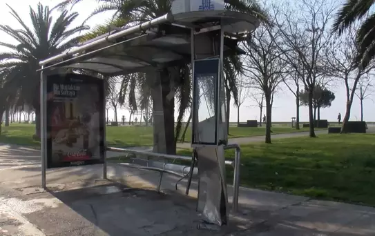 Kartal'da Kaza: Otomobil TIR'a Çarptı