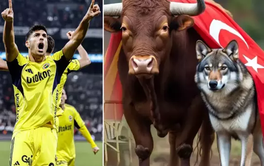 Marco Asensio da olan bitene kayıtsız kalamadı