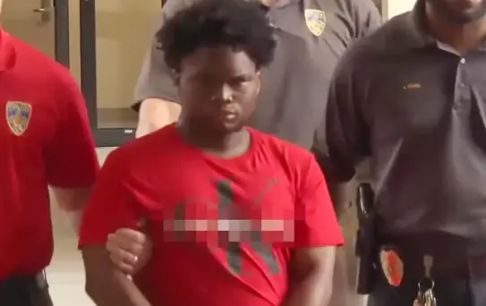 94 yaşındaki kadına tecavüz eden 22 yaşındaki şahıs tutuklandı