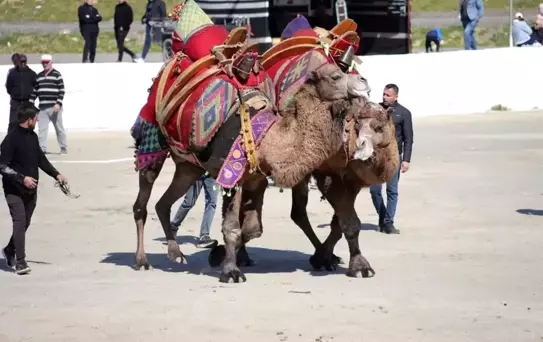 Başkan Kaya: 'Bu yıl sezonun ilk güreşlerini yapmak bizlere nasip oldu'