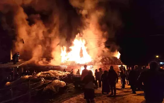 Hisarcık'ta samanlık yangını korkuttu