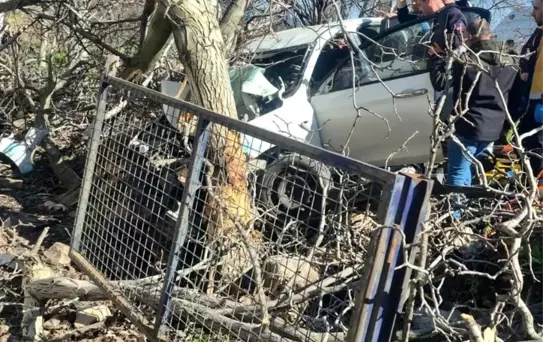 Aydın'da Trafik Kazası: 2 Ölü, 1 Yaralı