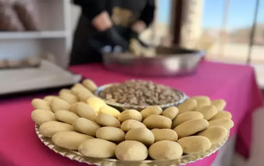 Kadınların Dayanışma Kooperatifi