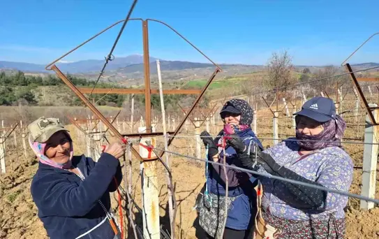 Kadın İşçiler, Dünya Kadınlar Günü’nü Üzüm Bağlarında Geçirdi