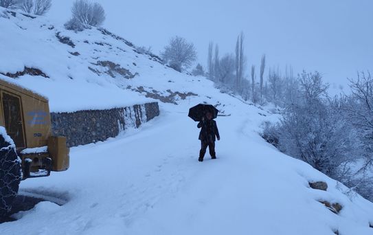 Sason'da Kar Yağışı 15 Köy Yolunu Kapatı