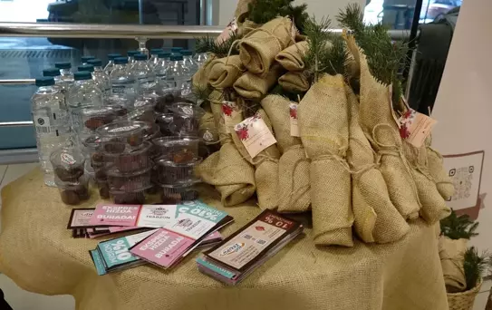 Kadınlar Günü'nde Fidan Hediyesi