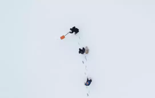 Erzurum'da Kuşlara Yardım Eli