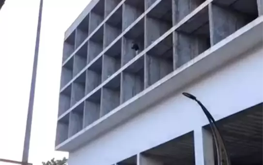 Yazılan cezanın miktarını görünce soluğu binanın tepesinde aldı
