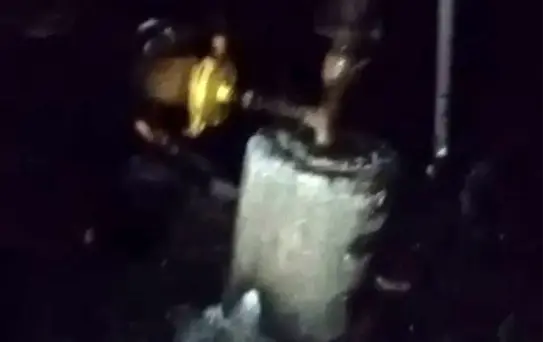 Ceyhan'da Depo Yangını: 40 Güvercin Telef Oldu