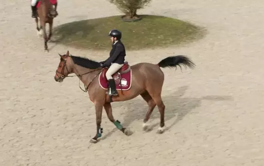 Lale Apa Kupası, Kadınlar Günü'nde Yapıldı