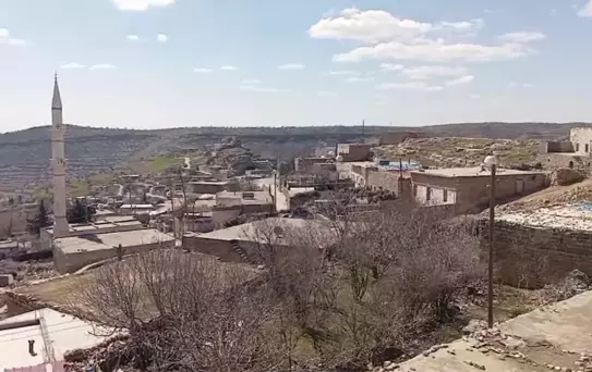 İnekteki kuduz şüphesi nedeniyle mahalle karantinaya alındı
