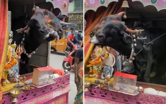 Genetik bozukluğu kazanç kapısı yaptı