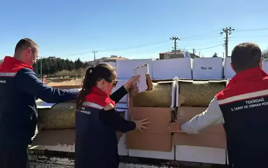 Baklavada kullanılacak kanserojen maddeli 2 ton fıstık ele geçirildi