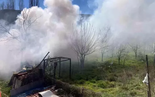 Bilecik'te bağ evinde çıkan yangın korkuttu