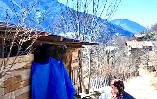 Kedi Elektrik Direğinden Kurtarıldı