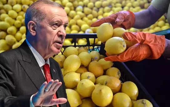 Fiyatı 100 lirayı aşmıştı, Erdoğan el attı! Limon ithalatında yeni karar