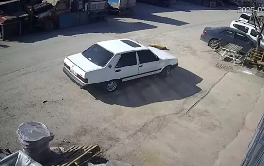 Bolu'da Otomobil Köpeği Ezdi