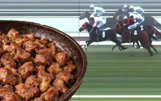 Kavurma yapılan atın sahibi konuştu: Hayır yapmak isterken kötülüğe vesile olduk