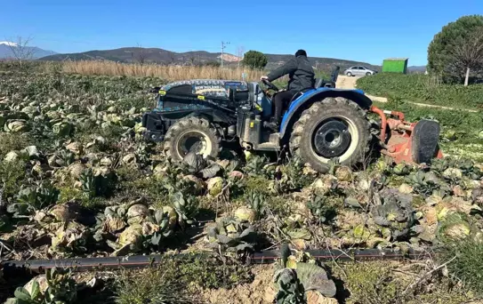 Pazarda 70 lira ama yüz binlercesi tarlada çürüdü! Üreticilerden çağrı var