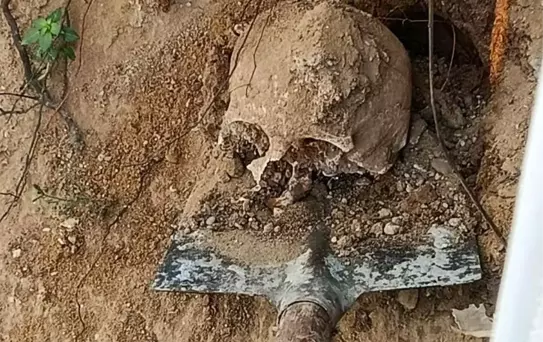 Kocaeli'de Bahçede İnsan Kafatası Bulundu