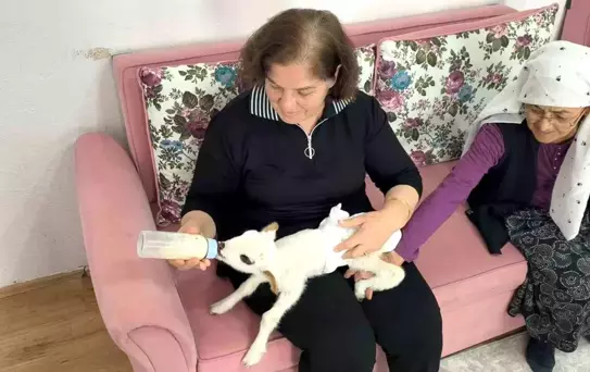 Balım'ın Umut Dolu Hikayesi