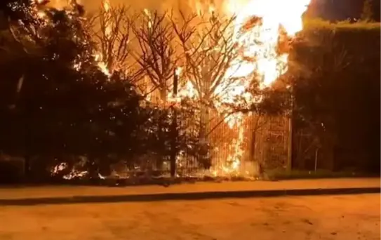 İnegöl'de Botanik Park'ta Yangın