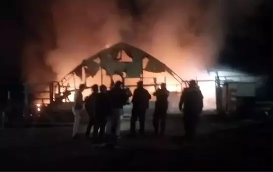 Bursa'da çiftlikte yangın: 580 kanatlı hayvan telef oldu