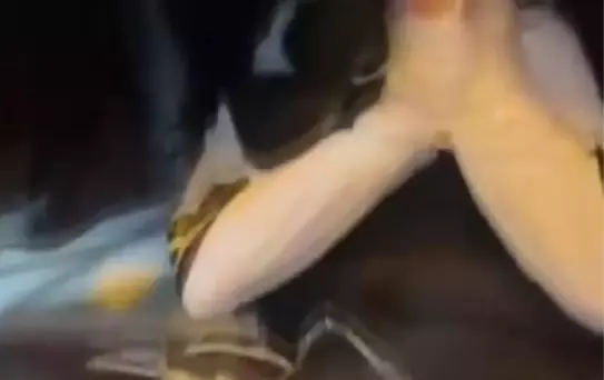 Elleri ve ayakları bantlanarak akranları tarafından darbedildi