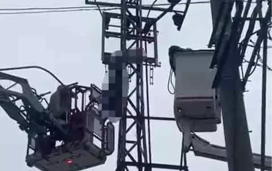 Hırsızlık için çıktığı elektrik direği sonu oldu