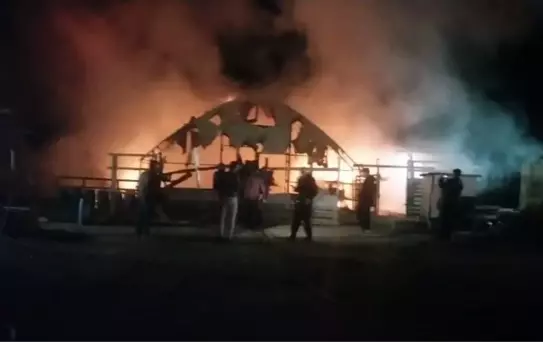 Kanatlı ve küçükbaş hayvan çiftliğinde yangın: 580 hayvan öldü