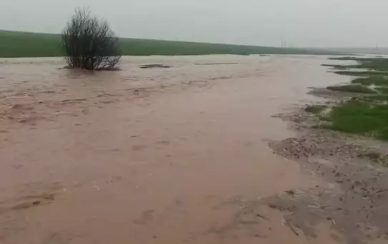 Mardin'de sağanak yağış sonrası evleri su bastı, tarlalar zarar gördü