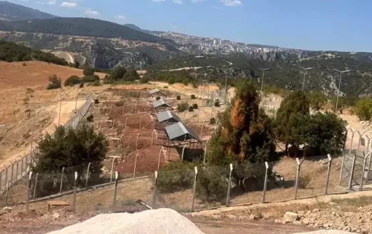 Milyonluk Sokak Hayvanları Doğal Yaşam Alanı ortada kaldı