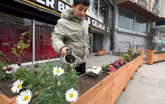 Çiçek Hırsızlığı Güvenlik Kamerasında