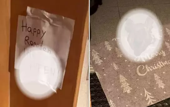 Avusturya'da Türk ailenin kapısına domuz kafası bırakıldı