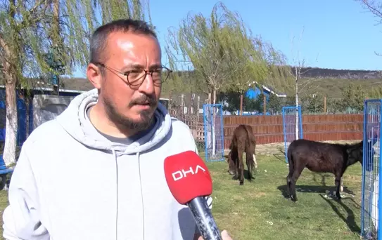 Kırık Ayağıyla Terk Edilen Katır Hayata Döndü