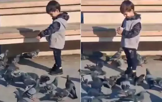 Çöp kamyonunun altında kalıp ölen Serhat'ın son görüntüleri ortaya çıktı