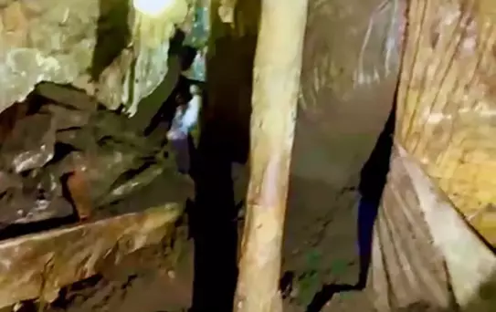 Ahır Çöktü, 2 Büyükbaş Hayvan Öldü