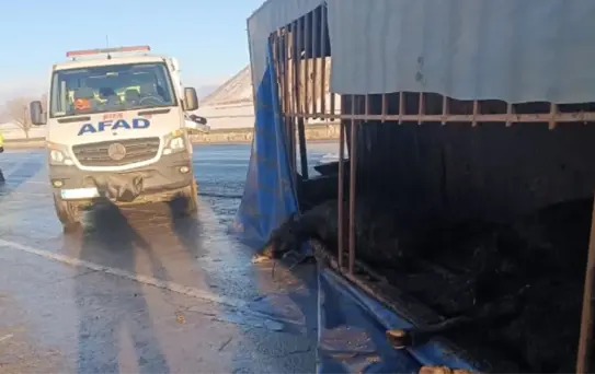 Bitlis'te Buzlanma Kazası: 1 Yaralı, 10 Hayvan Ölü