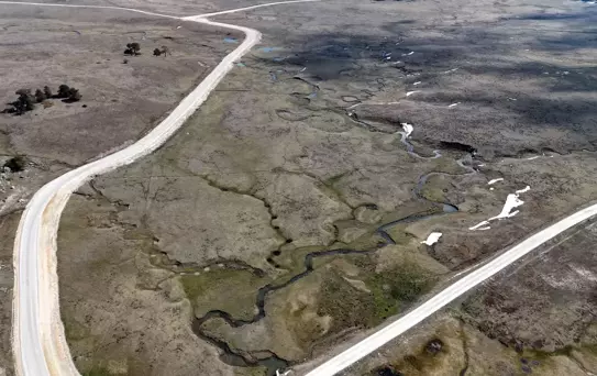 Bolu'da Çiğdem Çiçekleri Açtı