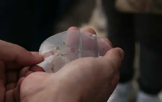 Datça'da Mikroplastik Kirliliği Tespit Edildi