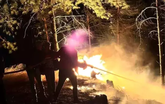 Hatay'da korkutan orman yangını