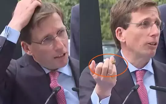 Madrid Belediye Başkanı'nın konuşması güvercin ''müdahalesi''yle yarıda kaldı