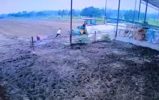 İzmir'de Traktör Kazası: 11 Yaşındaki Çocuk Hayatını Kaybetti