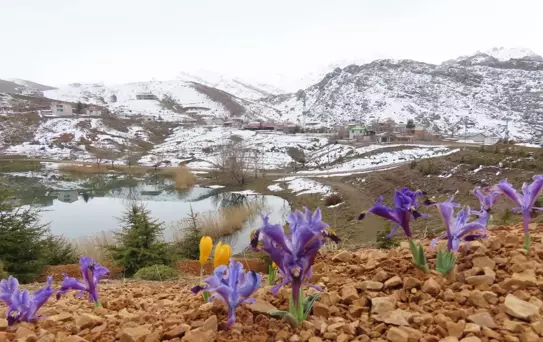 Toros Dağları'nda İlkbahar Güzellikleri