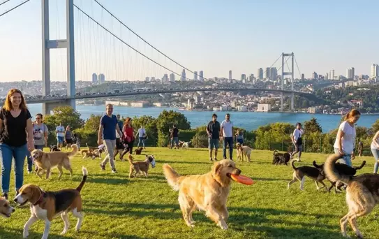 Zengin semtinde yaptığı işten 150 bin lira kazanıyor: Okumayın, iş kovalayın