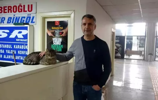 Ahmet Mengülloğlu'nun Kedisi Kadir 44 Gün Sonra Bulundu