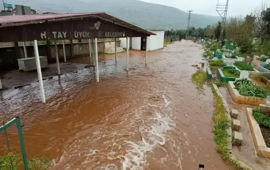 Reyhanlı'da Sel Tehlikesi: Çoban Kuzuları Kurtardı